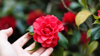 Kurs Judyta www.warszawa.galilea.pl